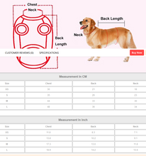 Load image into Gallery viewer, Padded Vest