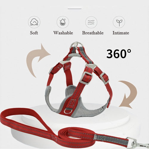 Harness Padded Reflective