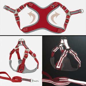 Harness Padded Reflective