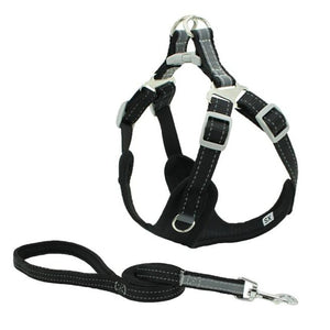 Harness Padded Reflective