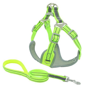 Harness Padded Reflective