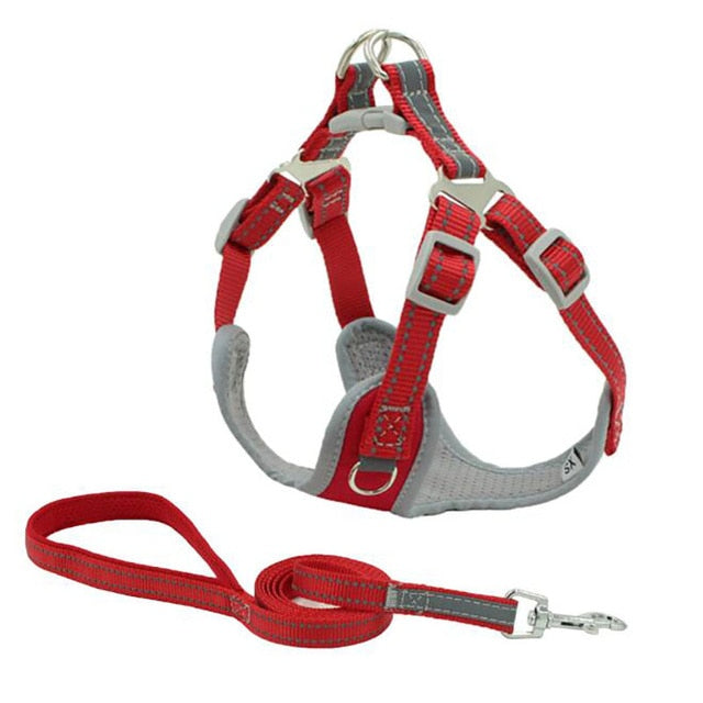 Harness Padded Reflective