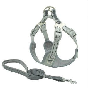 Harness Padded Reflective