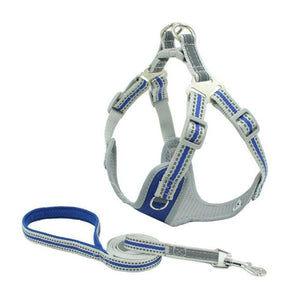 Harness Padded Reflective