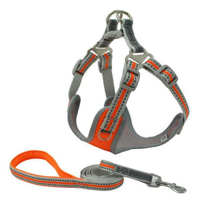 Harness Padded Reflective