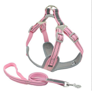 Harness Padded Reflective