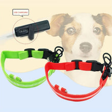 Load image into Gallery viewer, Night Collar  Reflective Warning for dogs safety