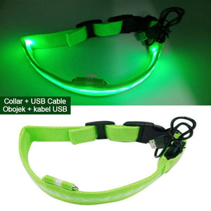 Night Collar  Reflective Warning for dogs safety