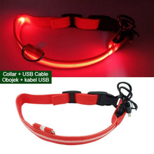 Load image into Gallery viewer, Night Collar  Reflective Warning for dogs safety