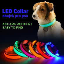 Load image into Gallery viewer, Night Collar  Reflective Warning for dogs safety