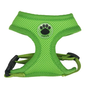 Harness Adjustable Soft Breathable mesh