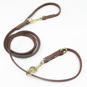 Multifunctional two Dog Leash