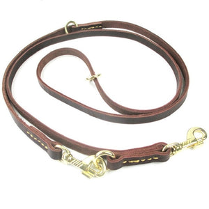 Multifunctional two Dog Leash